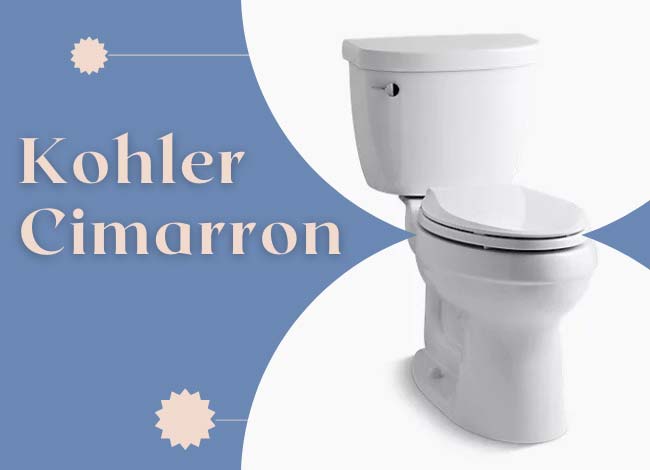 our-review-to-buy-or-not-to-buy-a-kohler-cimarron-toilet