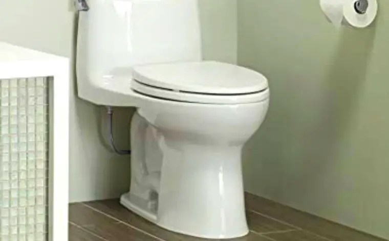 toto sanagloss toilet seat