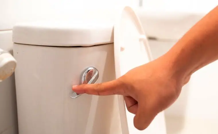 What are the different Toto flushing systems?