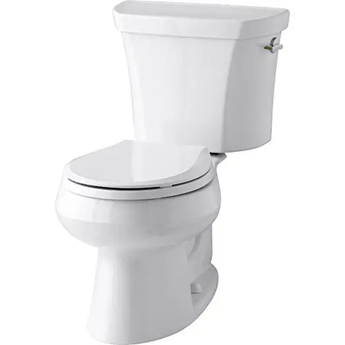 Kohler Dual Flush Toilet