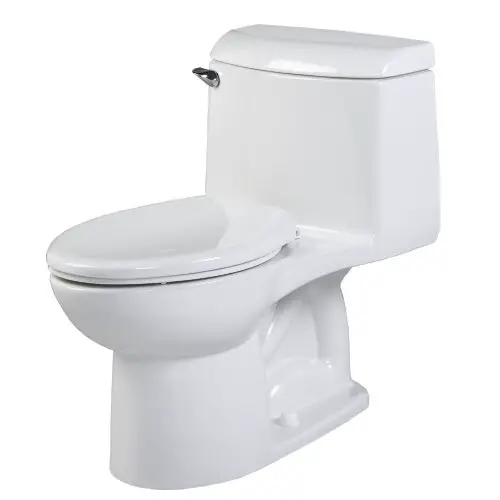 American Standard one piece toilet