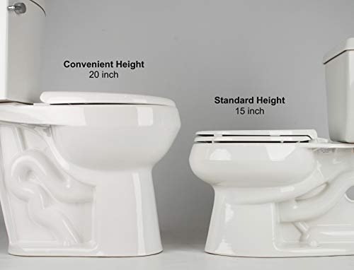 Convenient Height Toilet