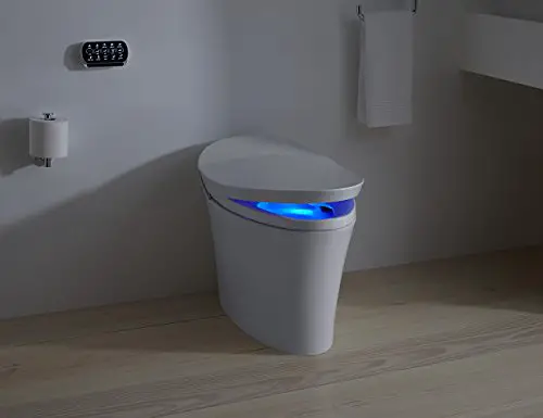 Kohler Dual Flush Toilets