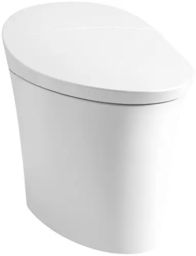 smart Dual Flush Toilets