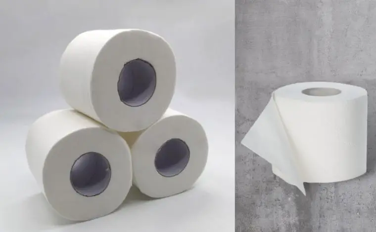 Standard dimensions of toilet paper roll