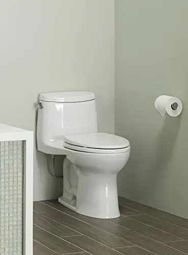 Toto Ultramax II toilet