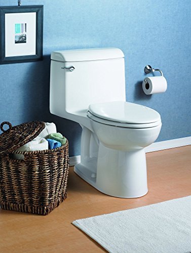 American standard or Kohler Which toilet is better? width=