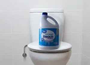 Applying the Bleach to clean the toilet