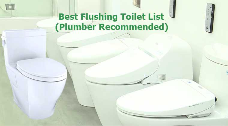 Best Flushing Toilet List