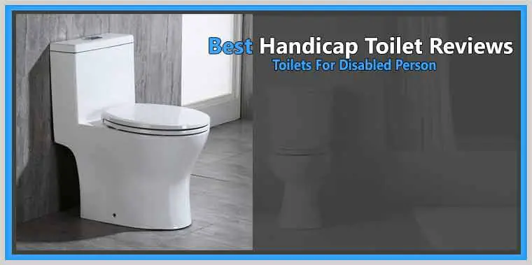 Best Handicap Toilet