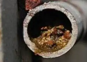 Can Poop Get Stuck In Your Pipes