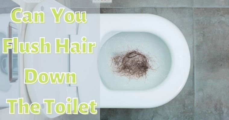Don't flush your hair down the toilet? Here's why - Can You Flush Beard Hair Down The Toilet