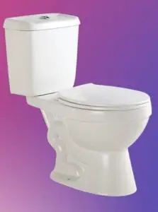 Ceramic toilet Reviews