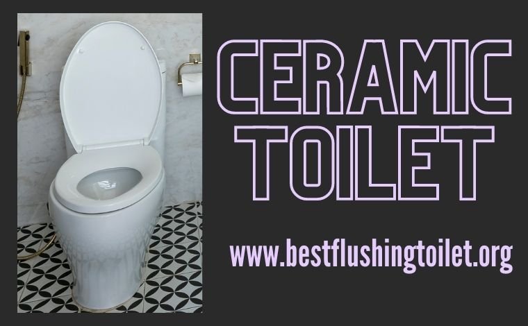 ceramic toilet pan