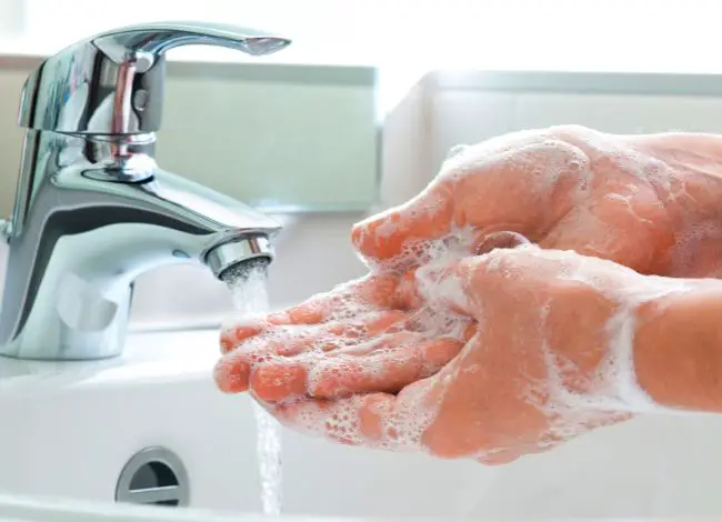 Clean the hands