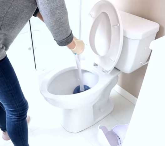 Clean the interior of the toilet