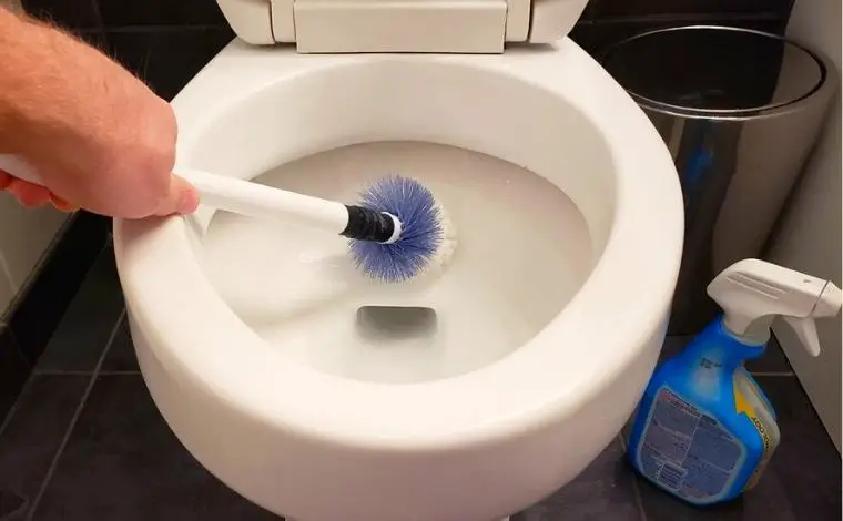  toilet cleaning
