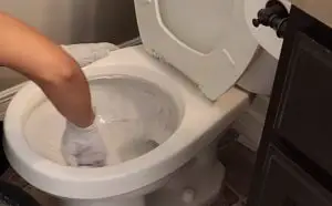 Cleaning Mold in Toilet Bowl
