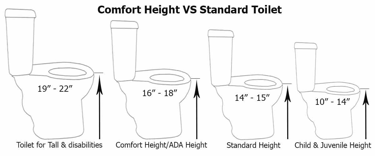 Comfort Height Vs Standard Toilet Which Type Of Toilet Is Worth