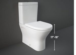 Comfort height toilet