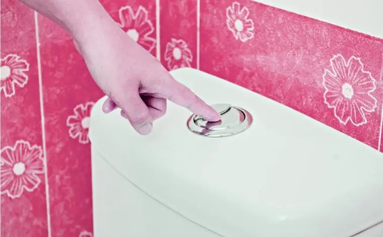 dual flush toilet water usage