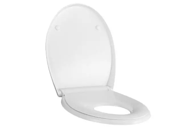 Duroplast toilet seat lid