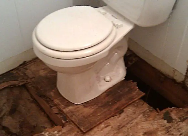 What Are The Possible Vestiges Of Floor Damage Around A Toilet