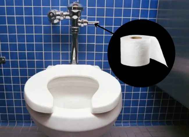 Flush a Public Toilet the Smart Way 