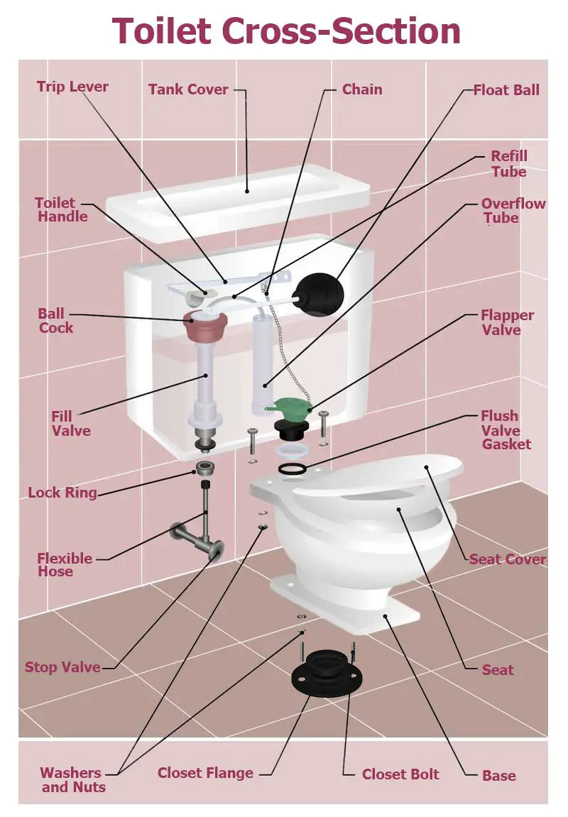 Flushing toilet parts introduction