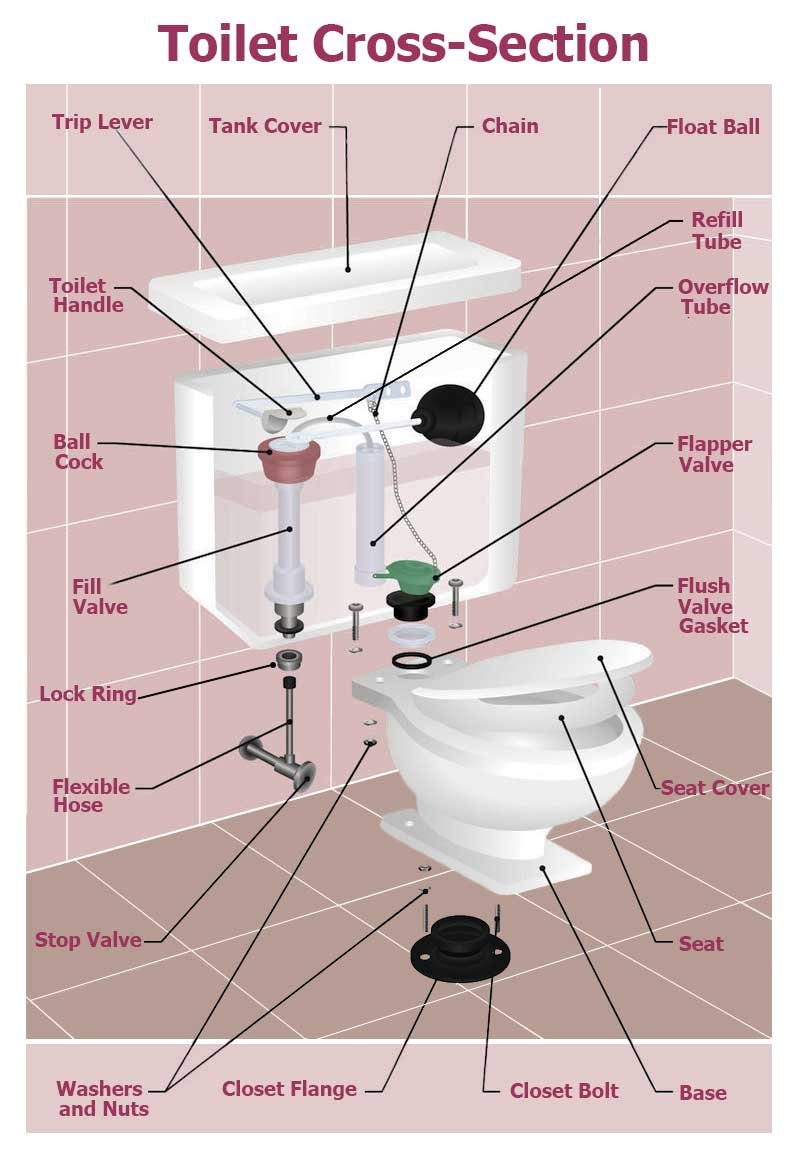 American Standard Toilet Schematic