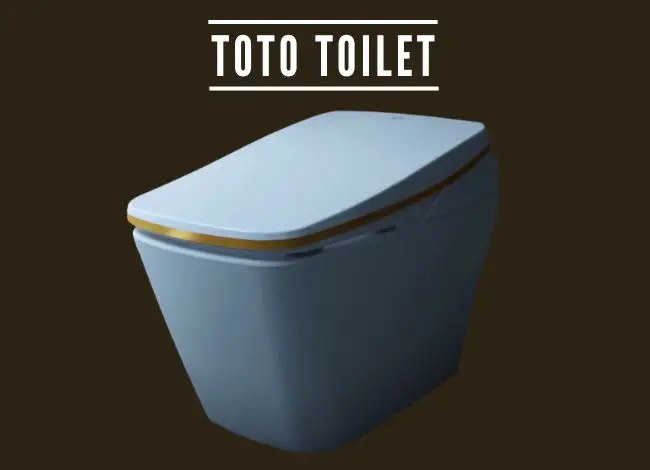 How long does a Toto Toilet sustain