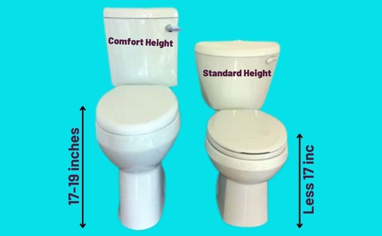Comfort Height vs Standard Height Toilet