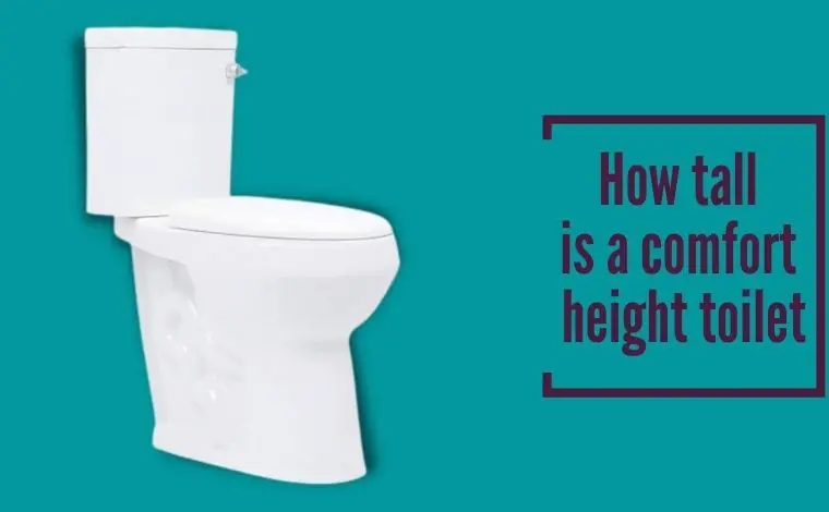 comfortable height toilets