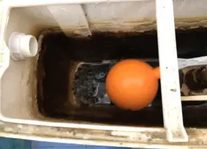 How to Clean a Toilet Tank?