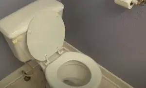 How to Drain a Toilet? 