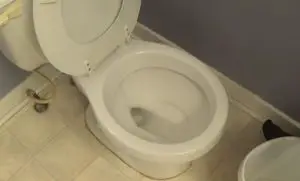 How to Drain a Toilet?