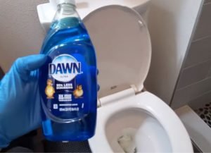 How to Fix a Clogged toilet?