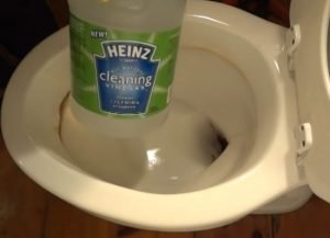 How to Remove Hard Water Stains from a Toilet?