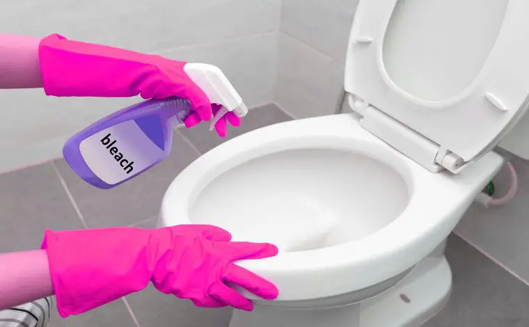 How to Remove Mold From a Toilet