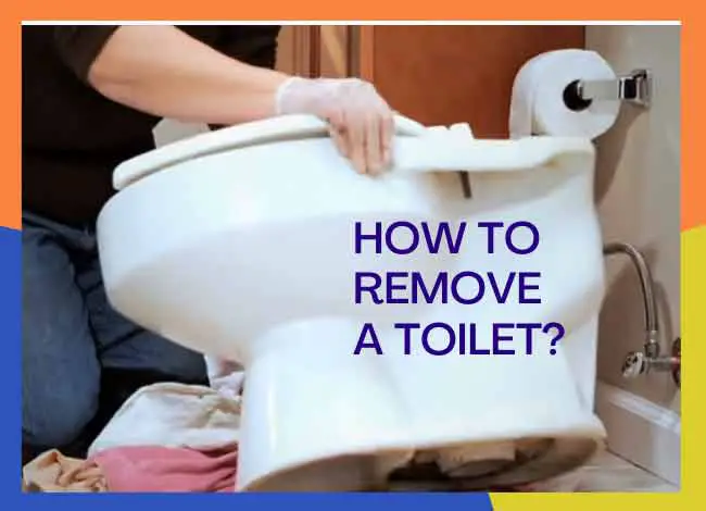 How to Remove a Toilet