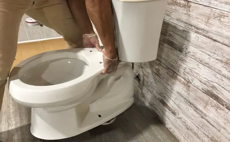 Remove toilet seat