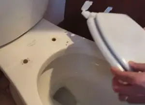How to Replace a Toilet Seat?