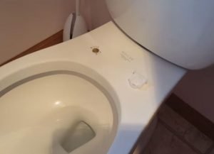 How to Replace a Toilet Seat?