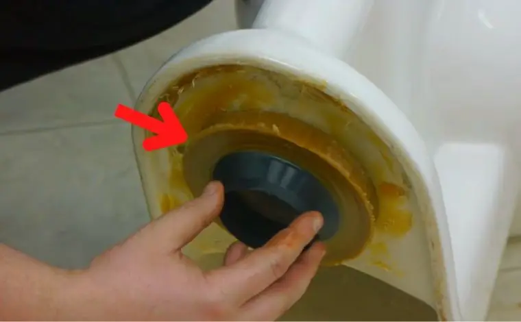 replacing a toilet wax ring