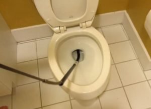 How to Use a Toilet Snake Properly?