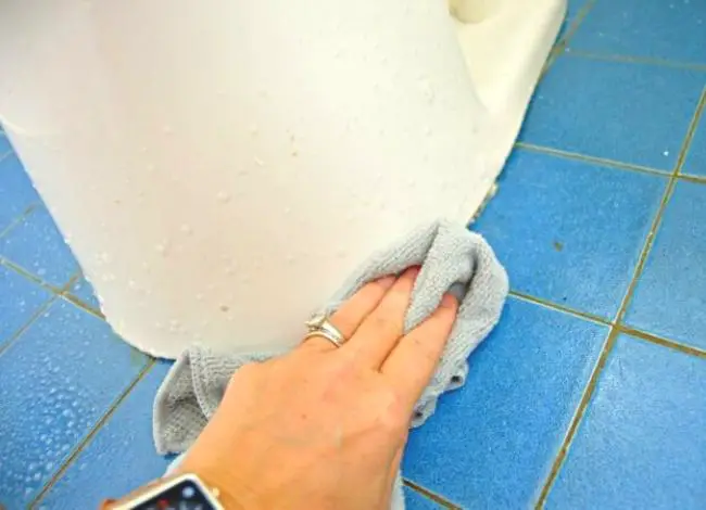 Cleaning toilet base