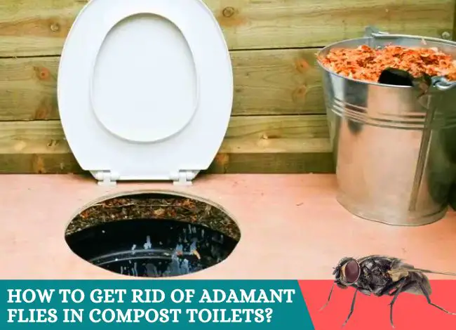 how-to-get-rid-of-flies-in-compost-toilet