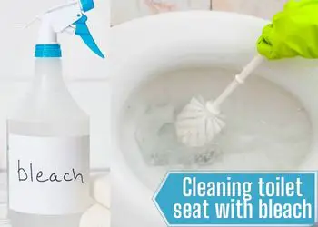 Cleaning toilet seat with bleach