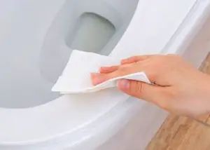 Wipe The Toilet Seat