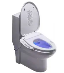 electric bidet toilet seat